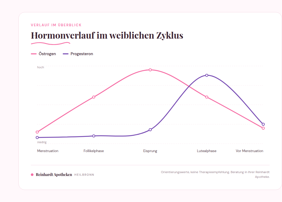 Schematische Darstellung des Östrogen- und Progesteronverlaufs über die vier Phasen des weiblichen Zyklus